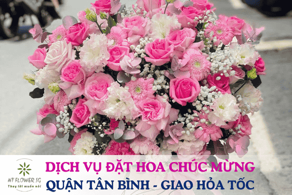 Dịch Vụ Đặt Hoa Chúc Mừng Quận Tân Bình – Giao Hỏa Tốc